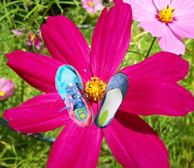 Ganzkörpertraining